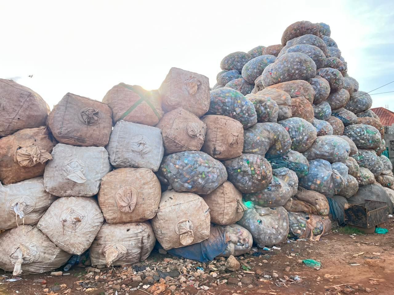 Plastic waste collection and recycling — Green Shero Ltd