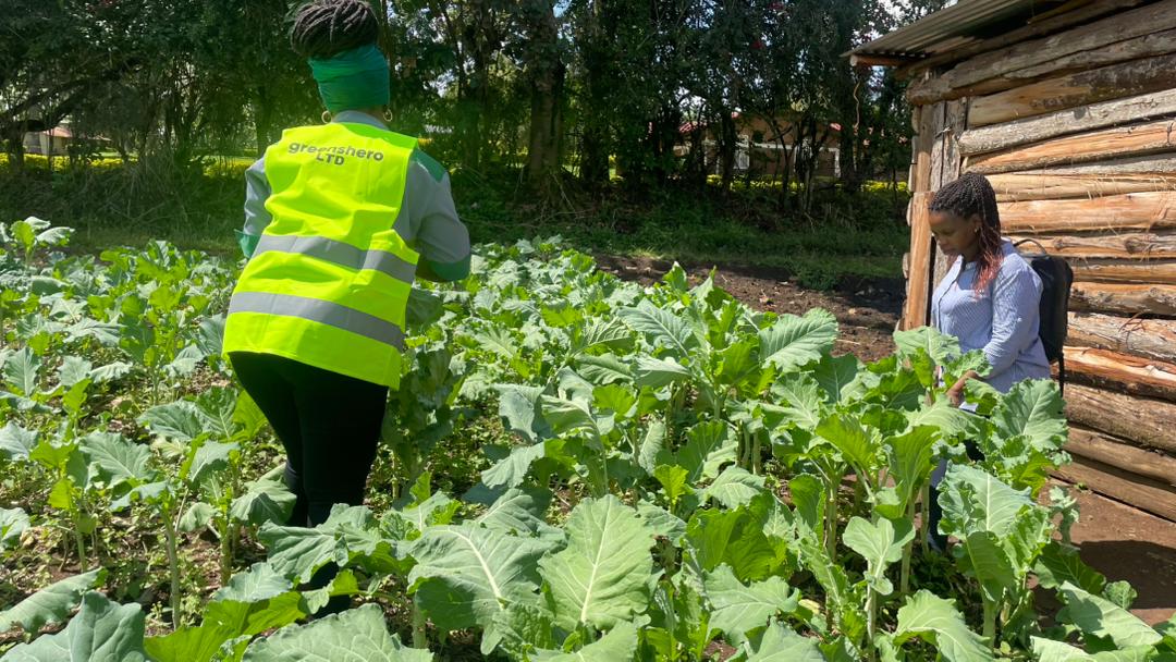 Farmers trained in sustainable agriculture — Green Shero Ltd